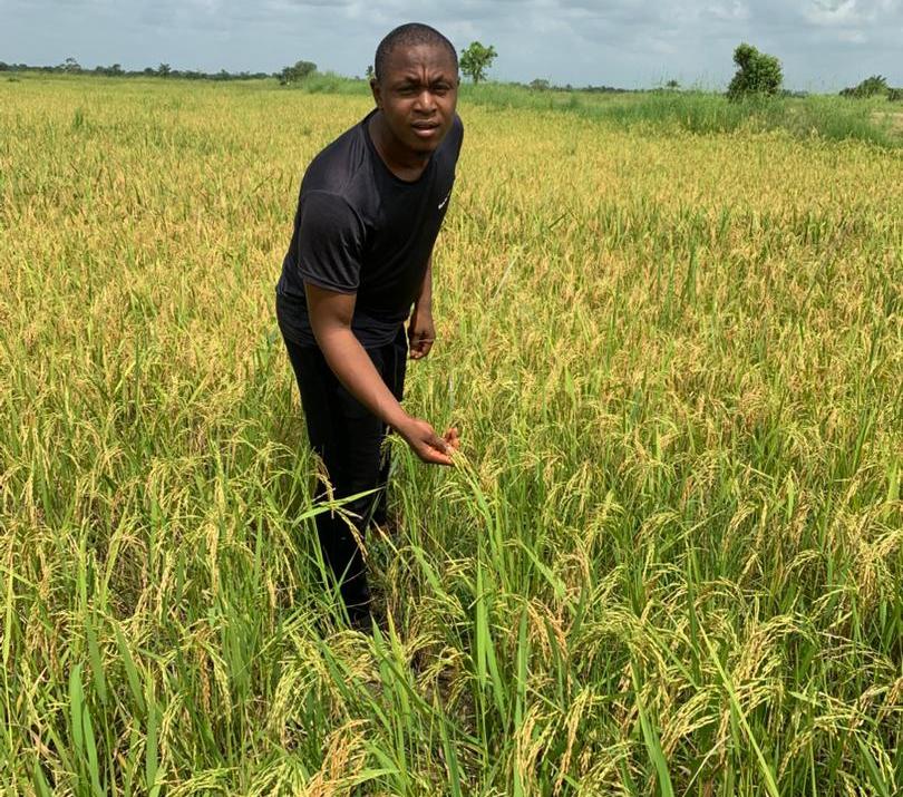 Gallery 225t41aw322i43