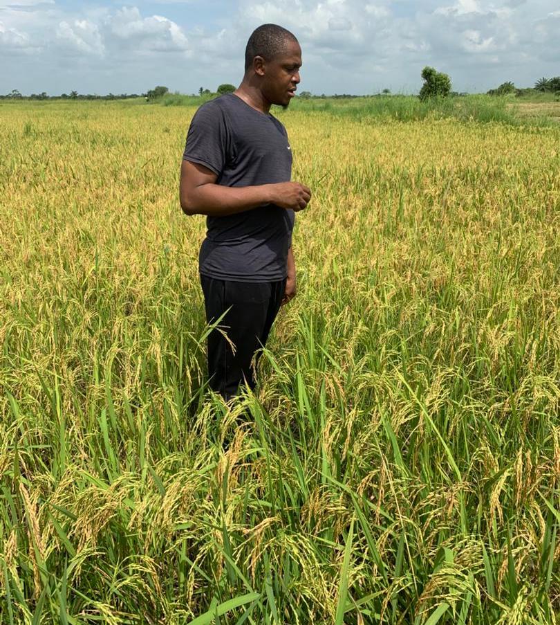 Gallery 232ti3512a442w