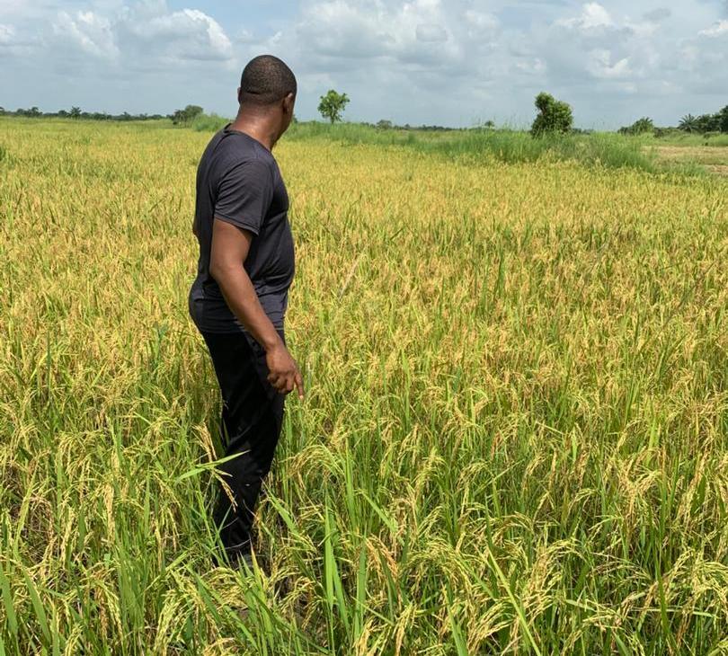 Gallery 422325ai1243tw